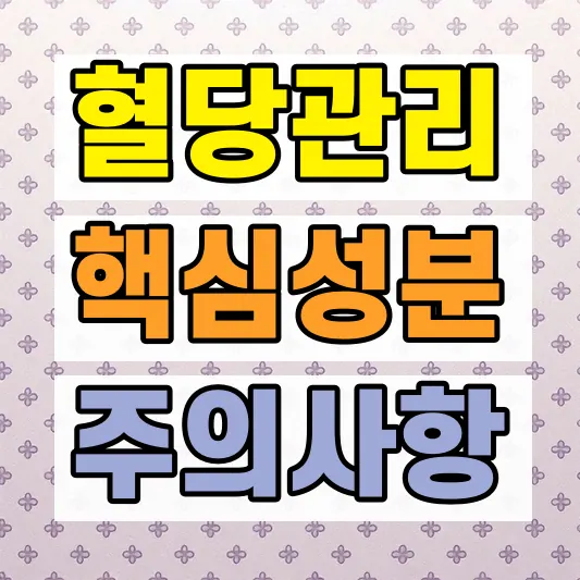 베르베린 성분 비교 고르는 법