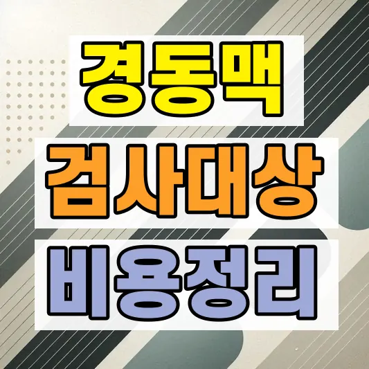 경동맥 초음파 검사 대상 비용