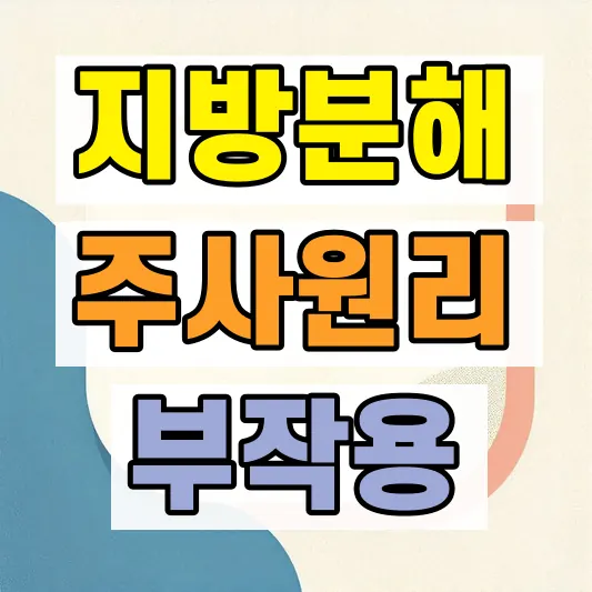 지방분해주사 원리 효과 부작용