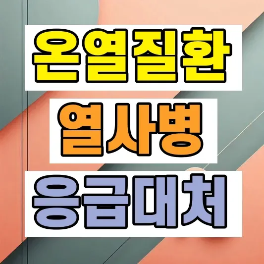 온열질환 열사병 열탈진 차이